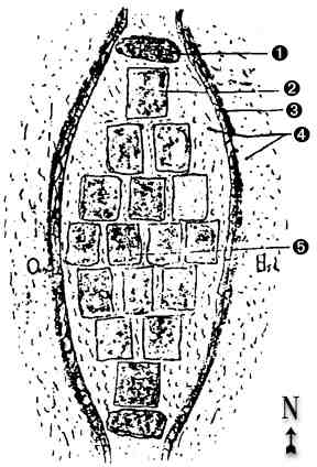 fosse ovalaire de glozel